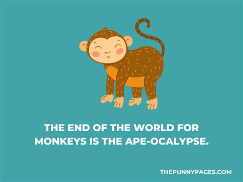 100 Funny Monkey Jokes And Puns