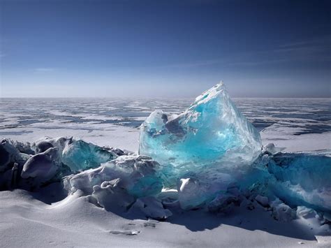 The Polar Regions: Arktis and Antarktis - TREEM