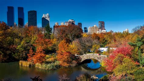 Landscape And Trees In Central Park New York City Image Free Stock