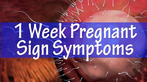 Week Pregnant Sign Symptoms The Important Things You Must Know Youtube
