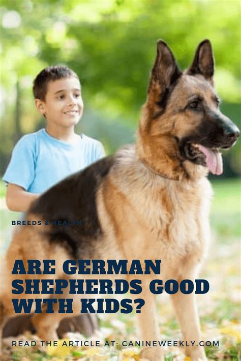Are German Shepherds Good With Kids Canine Weekly Dog Treatment