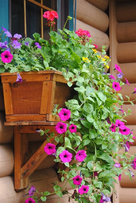 Apr 27, 2020 · there's no denying the power of curb appeal, and if you're hunting for an easy way to make your home more visually appealing, window boxes are a fairly simple solution.we discovered the 20 best. Pin by Jan Fox on Container Flower Gardening | Window box ...