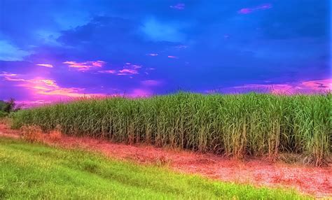 Howard P. Blanchard Obituary 2022 - Pellerin Funeral Homes