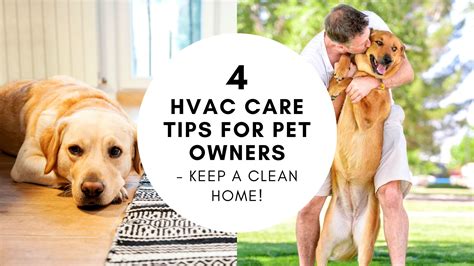 4 Hvac Care Tips For Pet Owners Keep A Clean Home