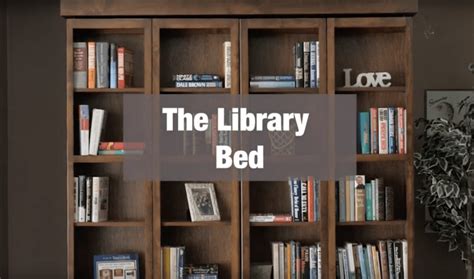 Library Wallbed Bookcase Style Murphy Bed Wall Bed