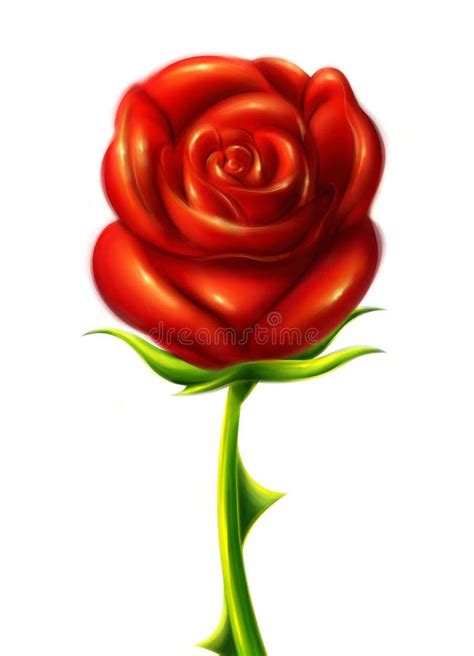 Hermosa Ilustración De Una Rosa Roja Con Tallo Verde Y Espinas Stock De