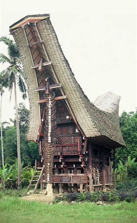 Toraja Traditional House Tongkonan Vernacular Architecture Unique