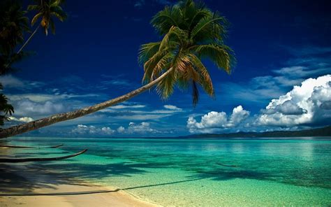 Nature Landscape Beach Tropical Palm Trees Clouds Sea Hills