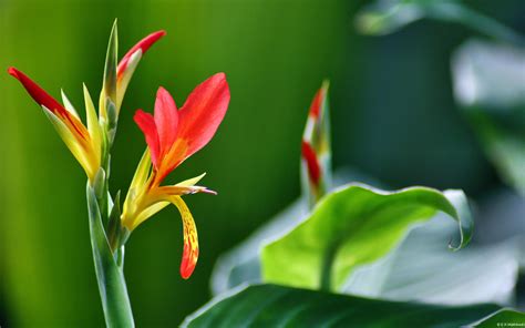 Die 70 Besten Hintergrundbilder Frühling