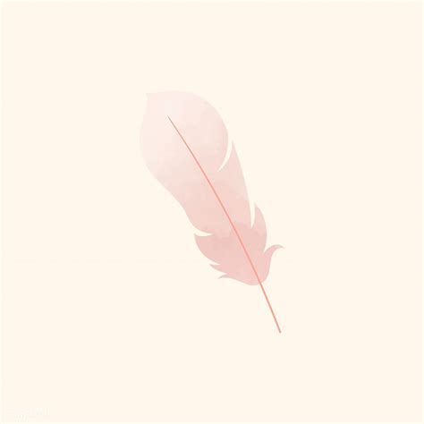 Download Premium Vector Of Single Pink Lightweight Feather Vector