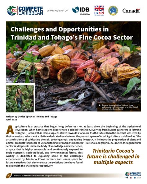 Challenges Opportunities In Trinidad Tobagos Fine Cocoa Sector Compete Caribbean