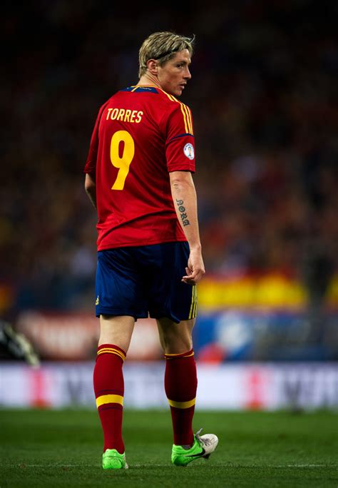 Biodata Dan Profil Fernando Torres Lengkap