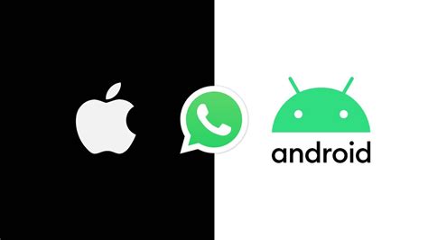 Whatsapp Comparison Ios Vs Android Youtube