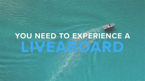 why you need to experience a liveaboard deep dive youtube