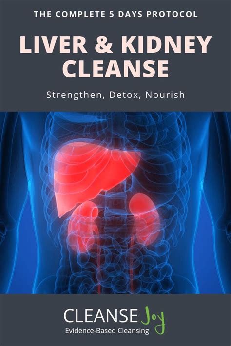 Liver And Kidney Cleanse How To Strengthen Liver And Kidneys Naturally