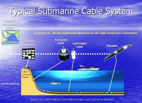 Next Generation Submarine Network Wet Plant Or Submerged Plant