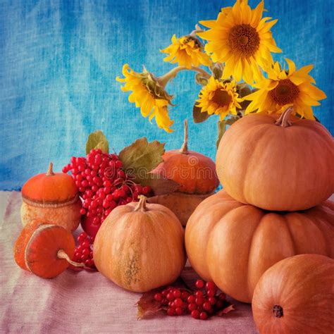 Autumn Still Life Pumpkins For Halloween And Thanksgiving Day Stock