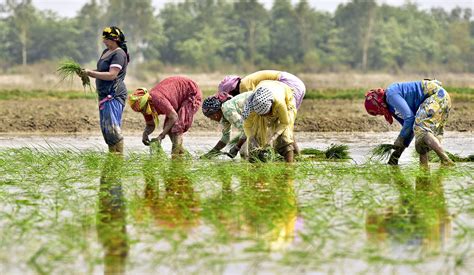 States Need To Be On Board To Provide Institutional Credit To Farmers