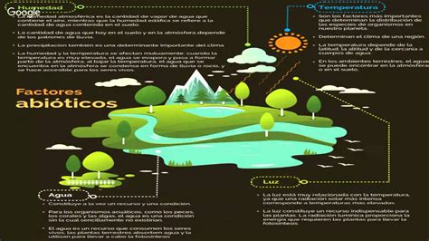 Ecología Factores Bióticos Factores Abióticos Youtube