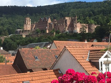 Heidelberg Erleben Exploring Heidelberg Castle