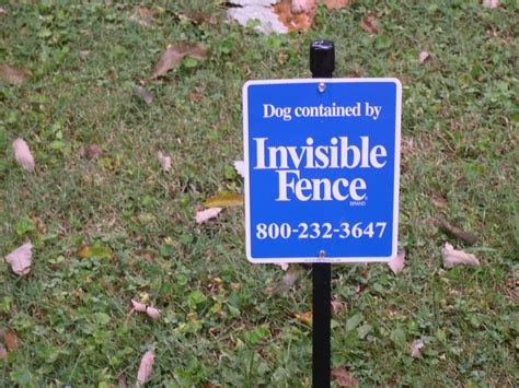 When the collar signals your dog with an audio signal that he is too close to the boundary, correct your dog by moving him away from the invisible fence line. Protect Your Dog at the Lake Home with an Invisible Fence