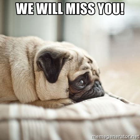 You'll always be in my heart. we will miss you! - miss you pug | Meme Generator