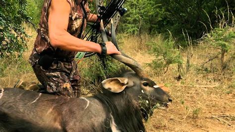 Jim Shockeys Hunting Adventures Nyala In South Africa With A Bowtech