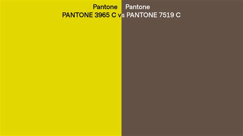 Pantone 3965 C Vs Pantone 7519 C Side By Side Comparison