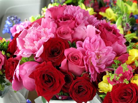 Rosas Con Brillo Flores Hermosas Lindas Hermosas Imagenes Bonitas