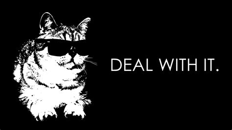 Thug Cat Wallpapers Top Free Thug Cat Backgrounds Wallpaperaccess