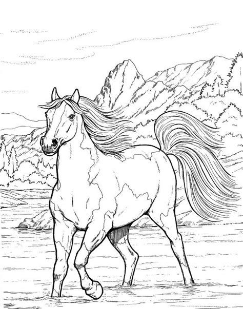 Realistic Horse Coloring Sheets