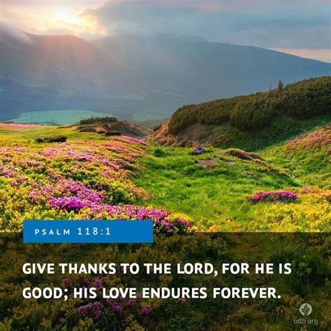 Personal strength inspirational hard decision quotes. Pin by Quotes For Success on Gratitude (With images ...