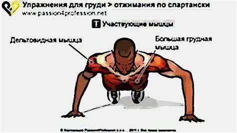 Как накачаться отжиманиями и подтягиваниями