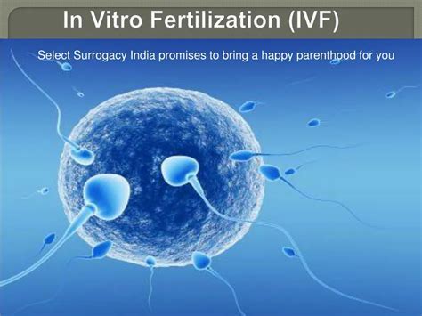 PPT In Vitro Fertilization IVF In India PowerPoint Presentation