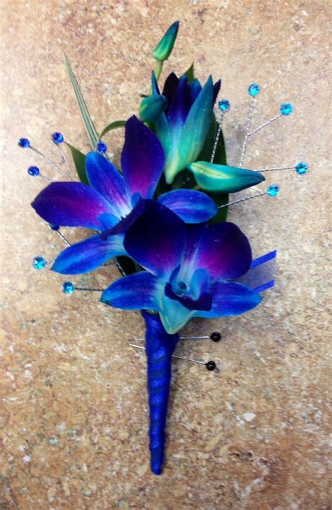 17 Best Ideas About Blue Orchids On Pinterest Blue Orchid Blue