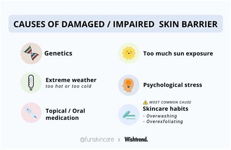 2 What Damages Skin Barrier