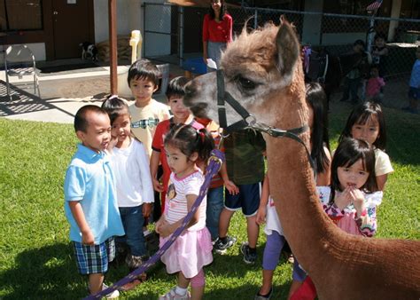 Our mobile petting zoo wants to make your child's next birthday party one to never forget! Petting Zoo Parties