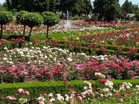 These are the best places for groups seeking gardens in portland: portlands-international-rose-garden-portland-pinned ...