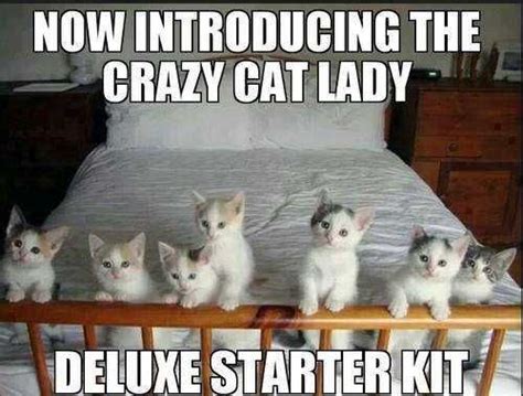 Cat Lady Starter Kit Meme Captions Beautiful