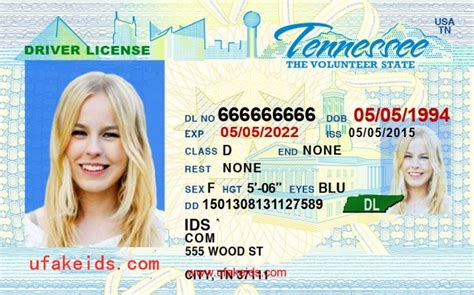 Cheap Tennessee Scannable Fake Id Buy Scannable Fake Ids Online