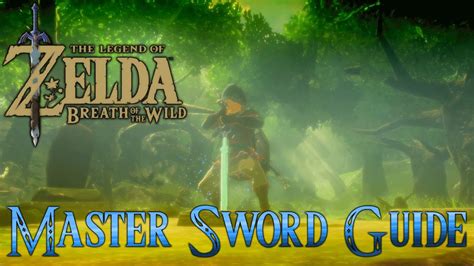 Breath Of The Wild How To Get The Master Sword Walkthrough How To