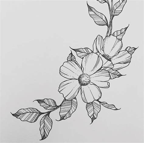 Simple Flower Drawing Easy Flower Drawings Pencil Drawings Of Flowers