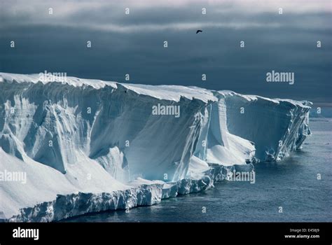 Ice Cliffs Of The Ross Ice Shelf Antarctica Stock Photo Alamy