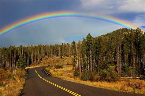 1920x1080px 1080p Free Download Rainbow Over Roadside Forest Trees