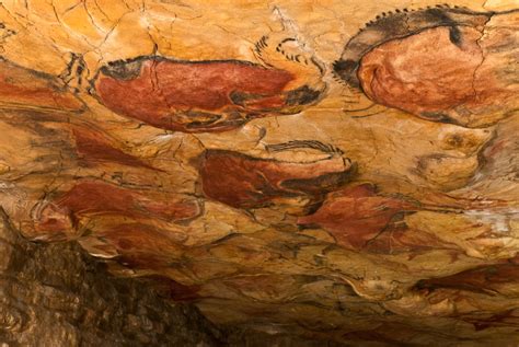 Cave Of Altamira Historical Facts And Pictures The History Hub