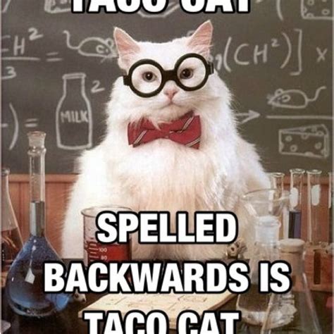 Taco Cat Science Cat Science Puns Science Teacher Chemistry Teacher