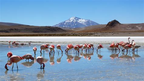 Bolivia The Best Of Bolivia What To See Humboldt Travel It Is