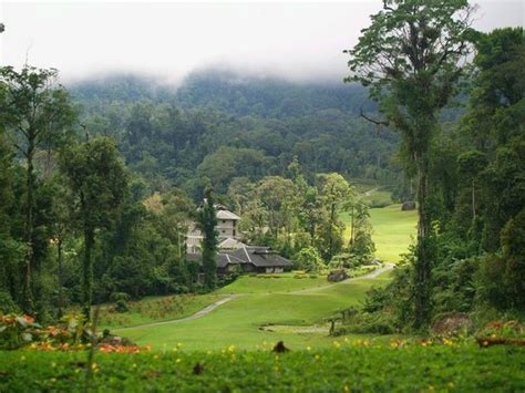 The tree house resort specialty resort, jaipur. Borneo Highlands Resort (Kuching, Sarawak) - Resort ...