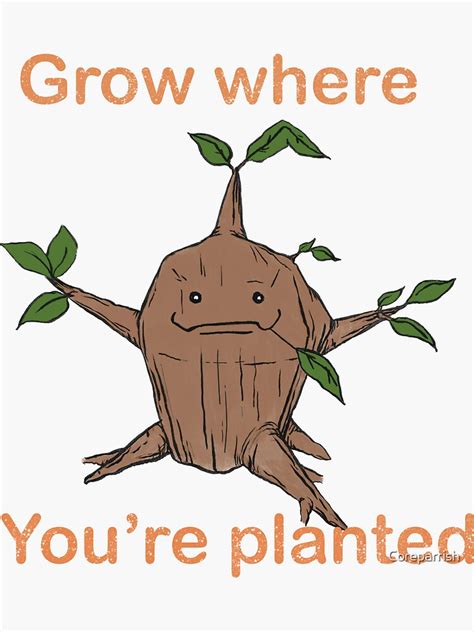Great Deku Tree Sprout Grow Where Youre Planted Sticker By