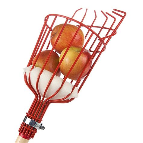 Home X Fruit Picker Harvester Basket With Cushion To